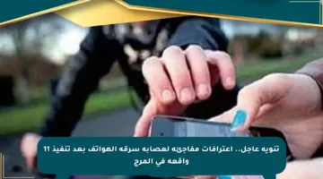 تنويه عاجل.. اعترافات مفاجئة لعصابة سرقة الهواتف بعد تنفيذ 11 واقعة في المرج
